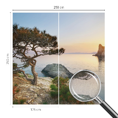 Peel and stick wall mural with a peaceful nature scene