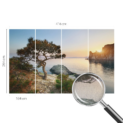 Peel and stick wall mural with a peaceful nature scene