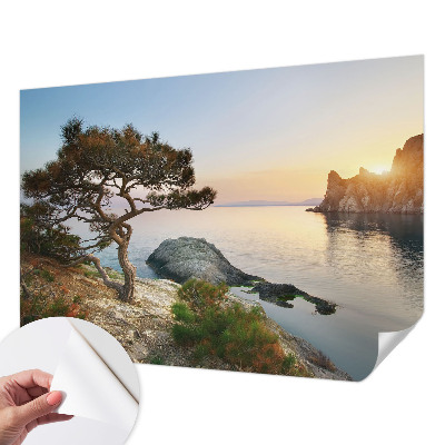 Peel and stick wall mural with a peaceful nature scene