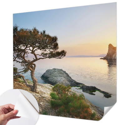 Peel and stick wall mural with a peaceful nature scene