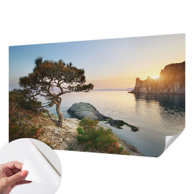 Peel and stick wall mural with a peaceful nature scene