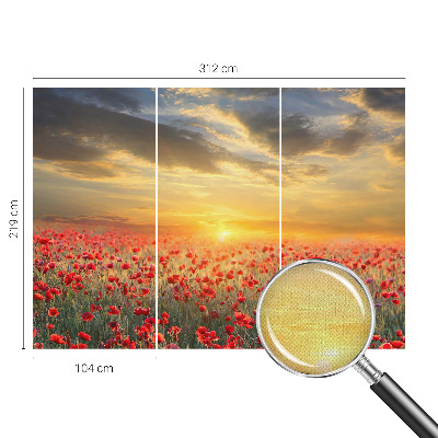 Peel and stick wallpaper mural Poppy field