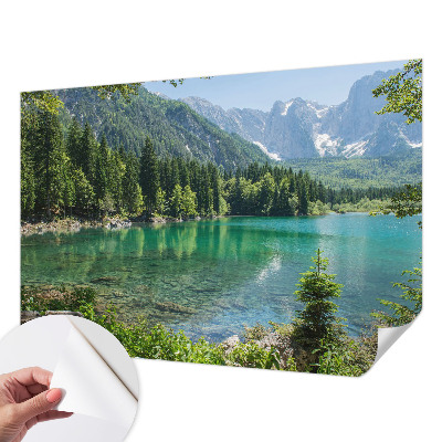 Stick-on wall mural with a green lake motif