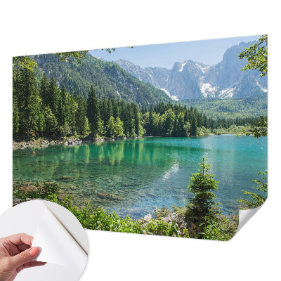 Stick-on wall mural with a green lake motif
