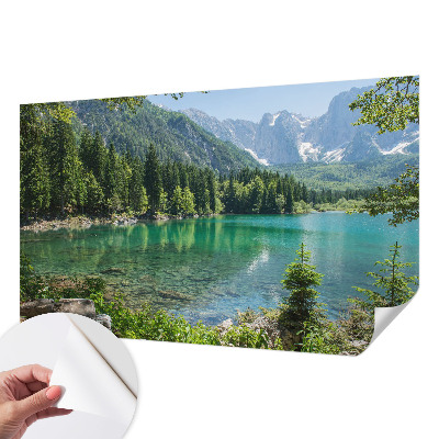 Stick-on wall mural with a green lake motif