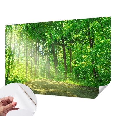 Self-adhesive wall mural with a forest path motif