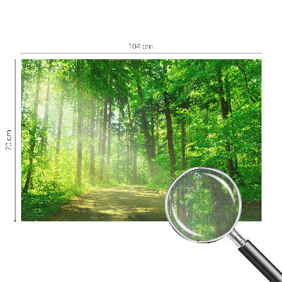 Self-adhesive wall mural with a forest path motif