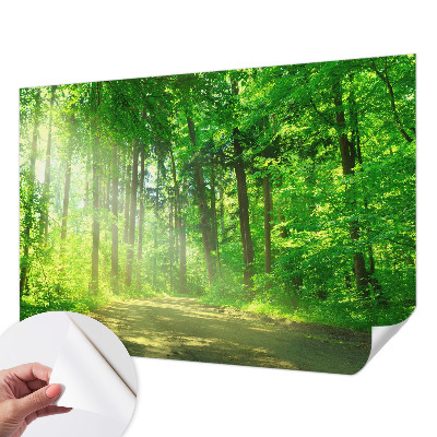 Self-adhesive wall mural with a forest path motif