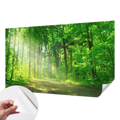 Self-adhesive wall mural with a forest path motif