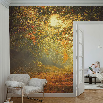 Removable wall mural Autumn landscape