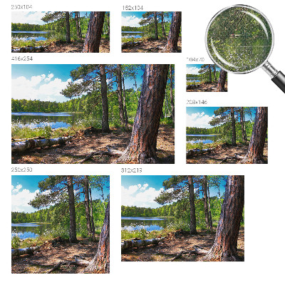 Peel and stick wall mural for bedroom Forest landscape