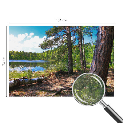 Peel and stick wall mural for bedroom with a forest landscape design