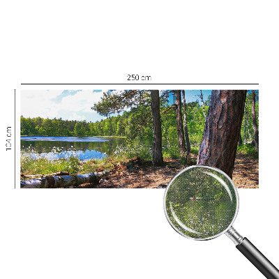 Peel and stick wall mural for bedroom Forest landscape