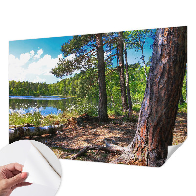 Peel and stick wall mural for bedroom Forest landscape