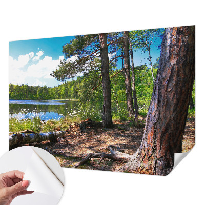 Peel and stick wall mural for bedroom with a forest landscape design