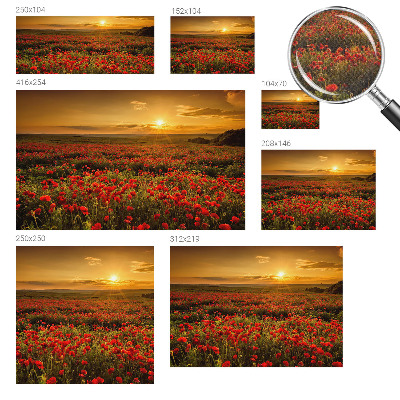 3D wall mural with a poppy field design