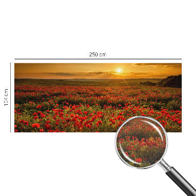 3D wall mural with a poppy field design
