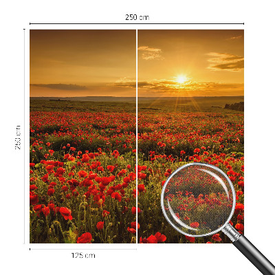 3D wall mural with a poppy field design