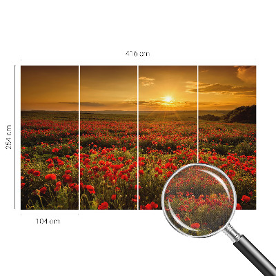 3D wall mural Poppy field