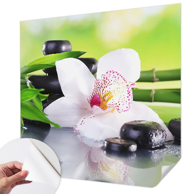 Peel and stick wallpaper mural with a nature-inspired peace scene