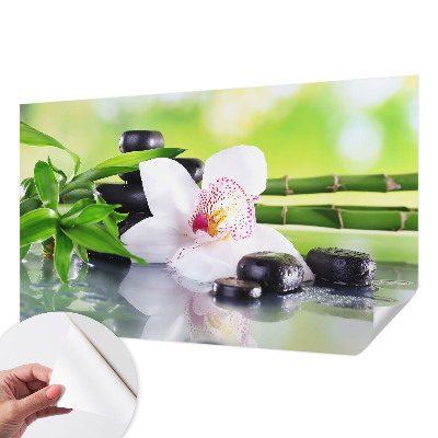 Peel and stick wallpaper mural with a nature-inspired peace scene