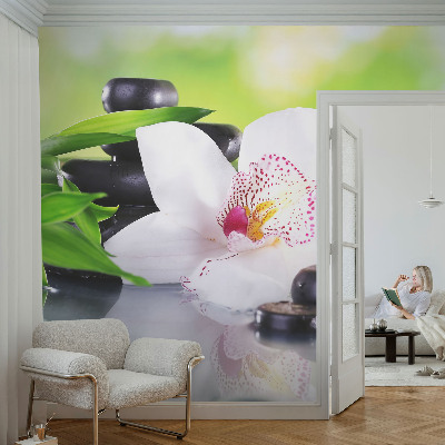 Peel and stick wallpaper mural with a nature-inspired peace scene