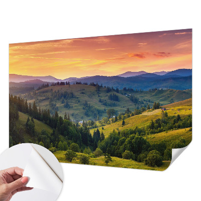 Removable wall mural wallpaper with a mountain landscape design