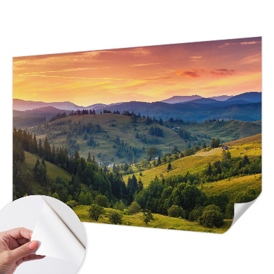 Removable wall mural wallpaper with a mountain landscape design