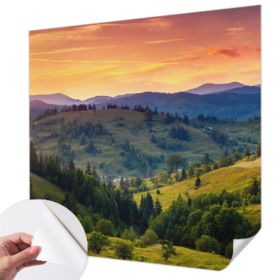 Removable wall mural wallpaper with a mountain landscape design