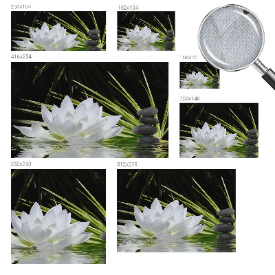 Removable wall mural with a lily meditation design