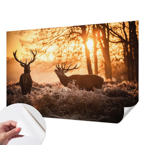 Peel and stick wallpaper mural with a deer depicted in a morning woodland scene