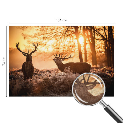 Peel and stick wallpaper mural with a deer depicted in a morning woodland scene