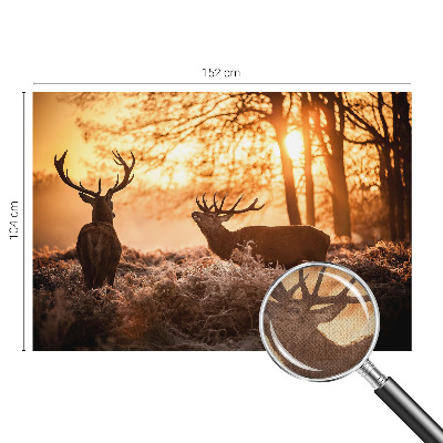 Peel and stick wallpaper mural with a deer depicted in a morning woodland scene