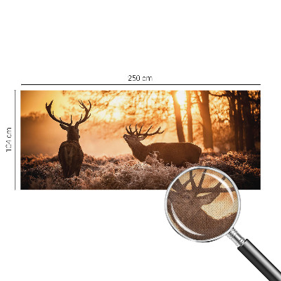 Peel and stick wallpaper mural with a deer depicted in a morning woodland scene
