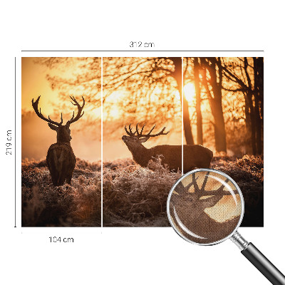 Peel and stick wallpaper mural with a deer depicted in a morning woodland scene