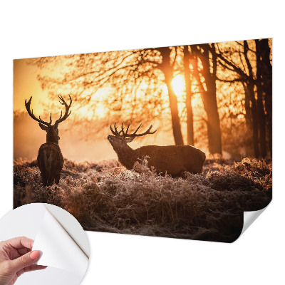 Peel and stick wallpaper mural with a deer depicted in a morning woodland scene