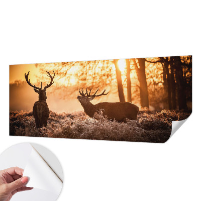 Peel and stick wallpaper mural with a deer depicted in a morning woodland scene