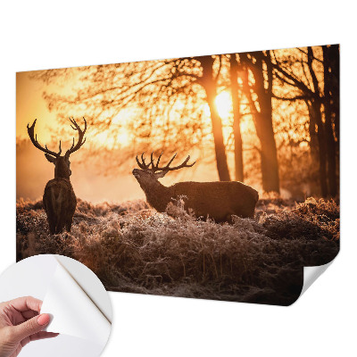 Peel and stick wallpaper mural with a deer depicted in a morning woodland scene