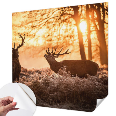 Peel and stick wallpaper mural with a deer depicted in a morning woodland scene