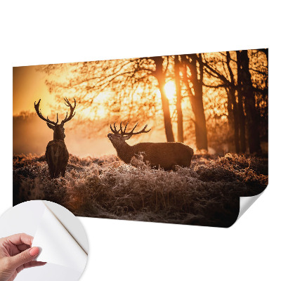 Peel and stick wallpaper mural with a deer depicted in a morning woodland scene