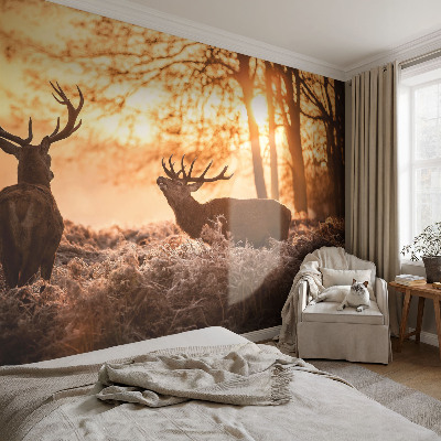 Peel and stick wallpaper mural with a deer depicted in a morning woodland scene