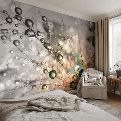 Peel and stick wall mural for kids' room with the phrase 