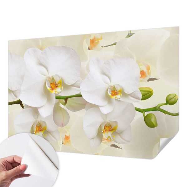 3D wall mural with a floral design titled 