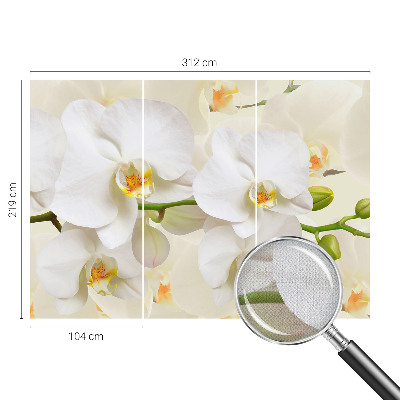 3D wall mural with a floral design titled 