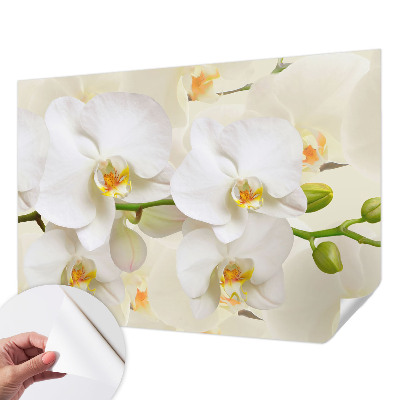 3D wall mural with a floral design titled 