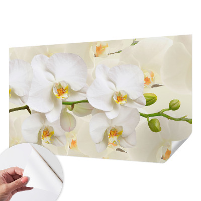 3D wall mural with a floral design titled 