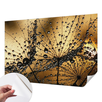3D photo wallpaper mural with a delicate drops design