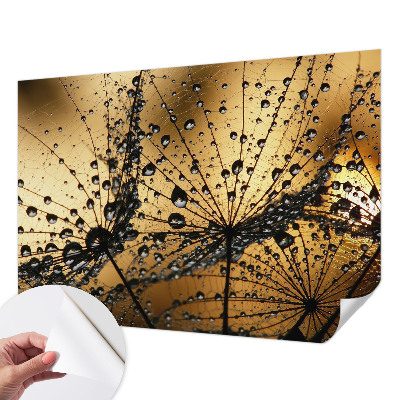 3D photo wallpaper mural with a delicate drops design