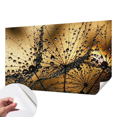 3D photo wallpaper mural with a delicate drops design
