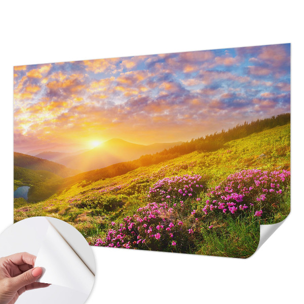 Self-adhesive wall mural with a Mountain West landscape design